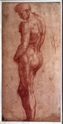 Study of Male Nude