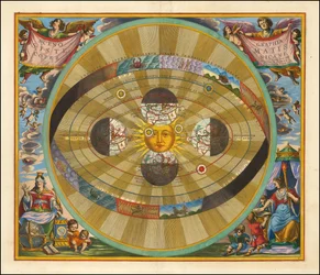 Cellarius