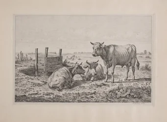 A Bull and Two Cows