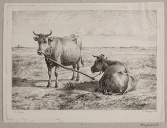 Two Coupled Cows