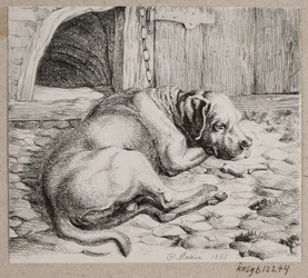 A Sleeping Chain Dog