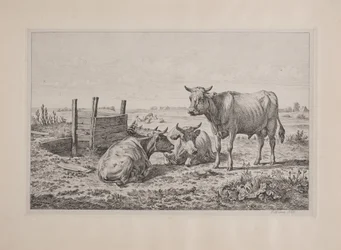 A Bull and Two Cows