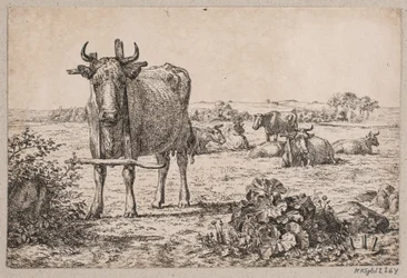 Landscape with Cows