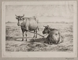 Two Coupled Cows