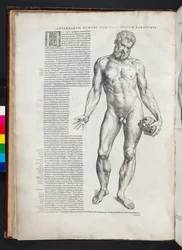 Hercules, illustration from 