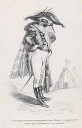 He Had Only His Beautiful Colors... from Scenes from the Private and Public Life of...