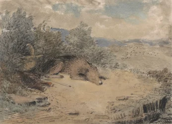 Sheepdog Asleep in a Landscape