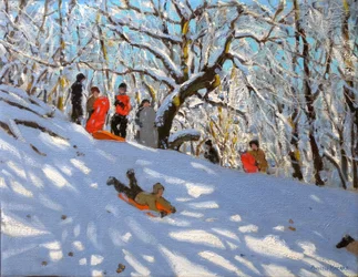 Sledging