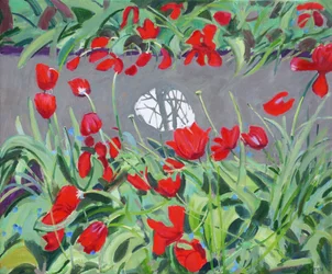 Tulips and Reflection