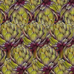 Globe Artichoke Heads, 2018