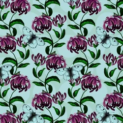 Honeysuckle with Clouded Apollo Butterfly, 2017