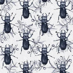 Stag Beetles, 2017