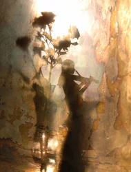 Ethereal Violinist and Roses