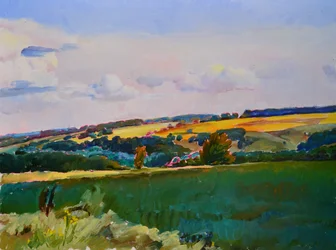 Rolling Fields Landscape
