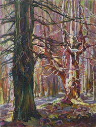 Sunlit Winter Woods