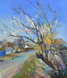 Sunny Spring Village Road