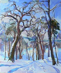 Sunny Winter Forest Path