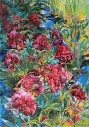 Vibrant Garden Blooms