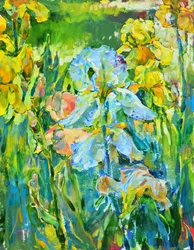 Vibrant Iris Garden