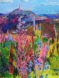 Vibrant Mountain Flowers