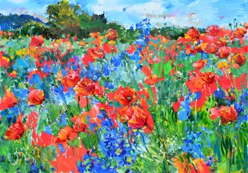 Vibrant Poppy Field