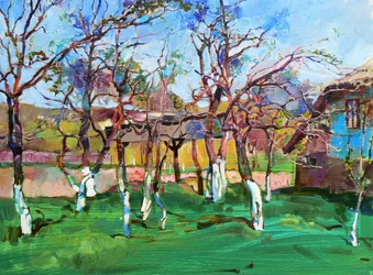 Vibrant Spring Garden