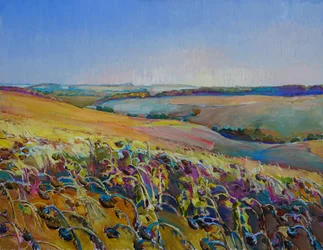 Vibrant Sunflower Fields