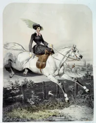 A Young Rider in the Amazon Jumping a Barrier