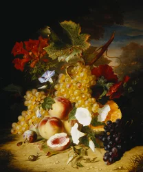 Peaches, Grapes, a Melon, Convulvuli and Other Flowers in a Landscape