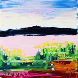 Vibrant Mountain Meadow