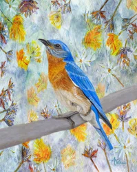 Bluebird Among Flowers