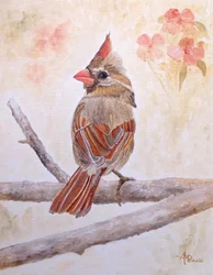Brown Cardinal Perched