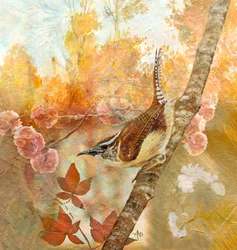 Carolina Wren in Autumn