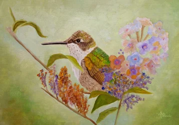 Colorful Hummingbird Garden