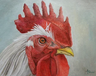 Colorful Rooster Head
