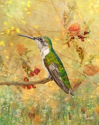 Golden Hummingbird Perch