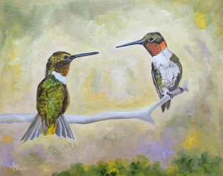 Hummingbird Pair Perched