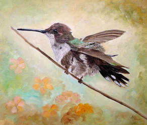 Hummingbird on Branch