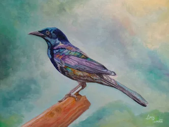 Iridescent Perched Bird