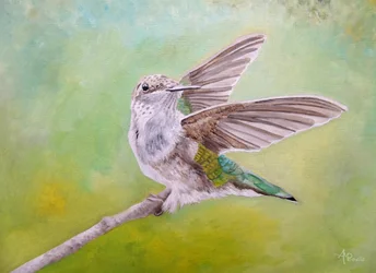 Perched Hummingbird Wings