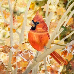 Red Cardinal Autumn Leaves