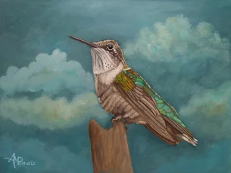 Skyward Hummingbird