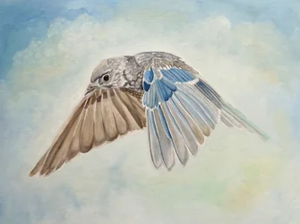 Soaring Blue Bird