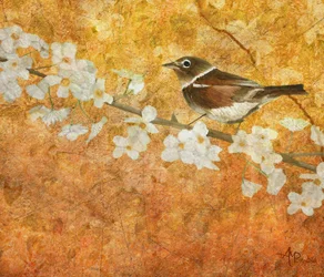 Spring Bird Blossom