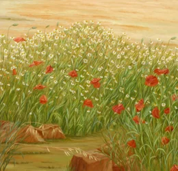 Summer Poppies Daisy Field
