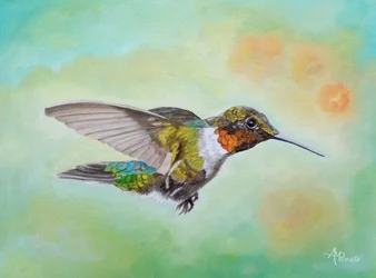 Vibrant Hummingbird Flight