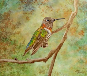 Vibrant Hummingbird Perched