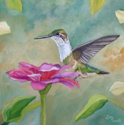 Vibrant Hummingbird Zinnia