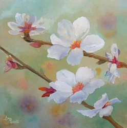 White Almond Blossoms