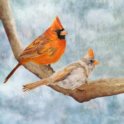 Winter Cardinal Pair